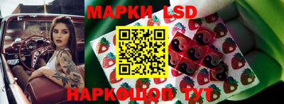 ALPHA PVP Нальчик