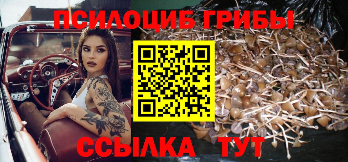 Свободный  Галлюциногенные грибы Magic Shrooms  цена наркотик  Вход с VPN  Галлюциногенные грибы мухоморы 