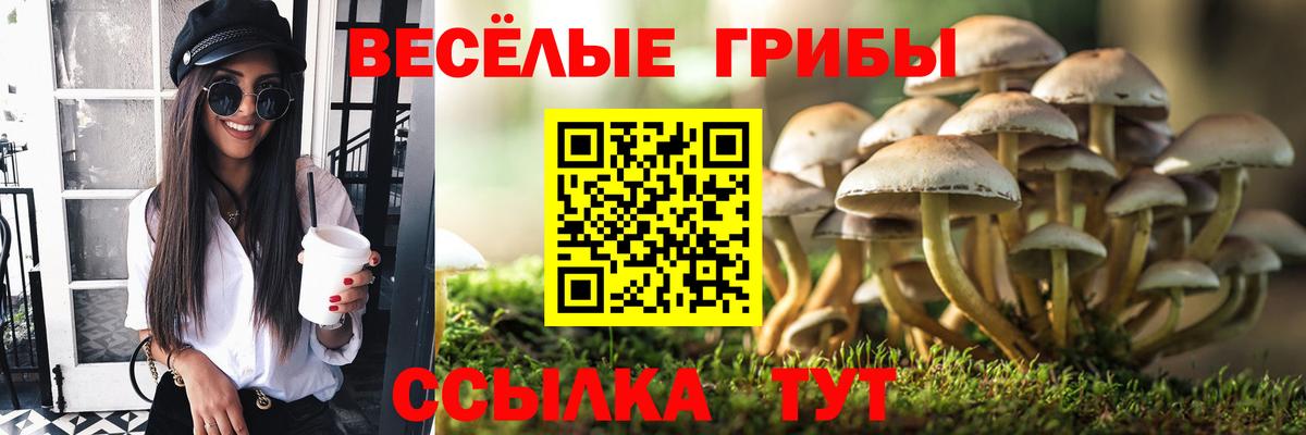 Галлюциногенные грибы мухоморы Свободный
